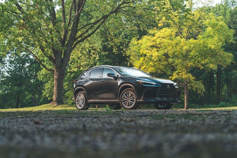 2022 Lexus NX