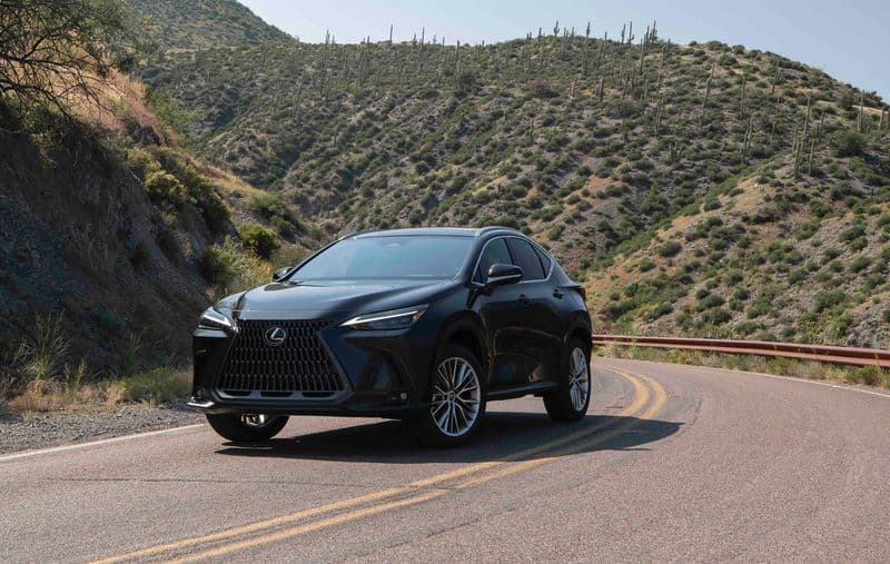 2024 Lexus NX