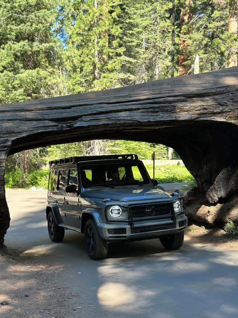2023 Mercedes-Benz G-class